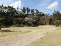 DSCN8490.JPG