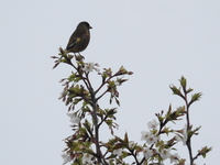DSCN8494.JPG
